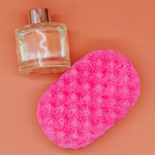 Alienne Soap Sponge