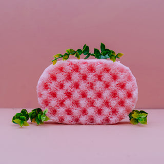 Marshmallow & Raspberry Soap Sponge