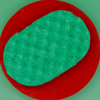 Watermelon Soap Sponge