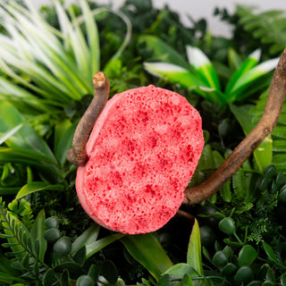 Mini Jamaican Me Crazy Soap Sponge