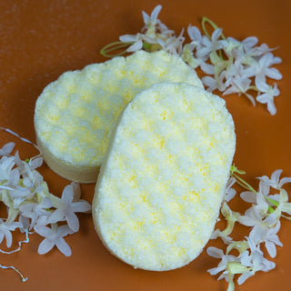 Vanilla Soap Sponge