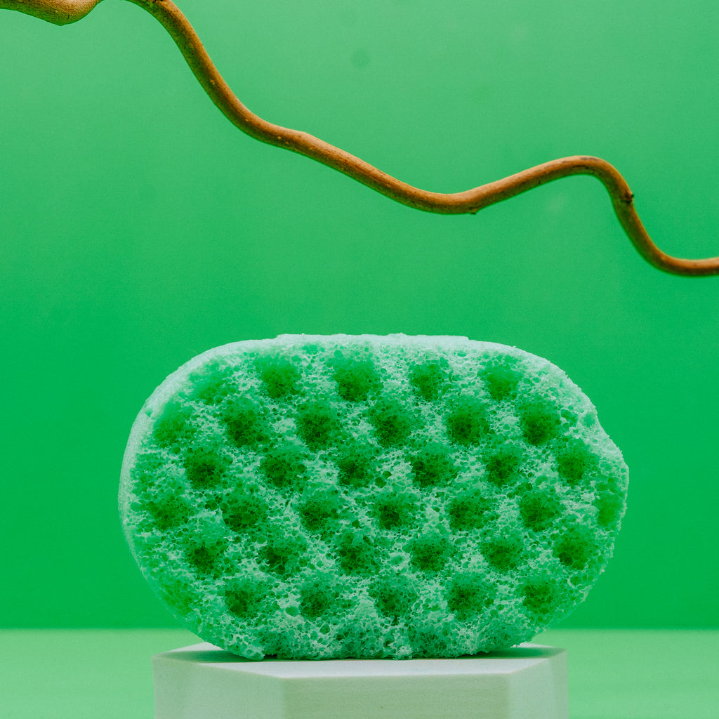 Lime Basil & Mandarin | Wholesale Soap Sponge | Scentish Wholesale