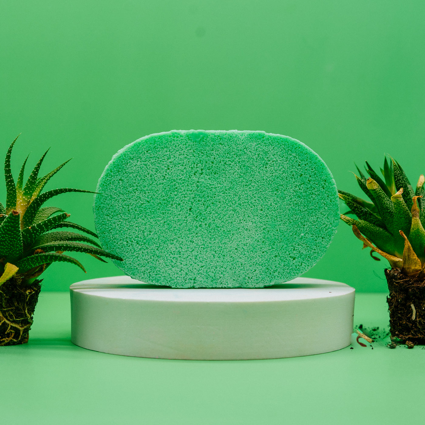 Mango & Papaya Soap Sponge